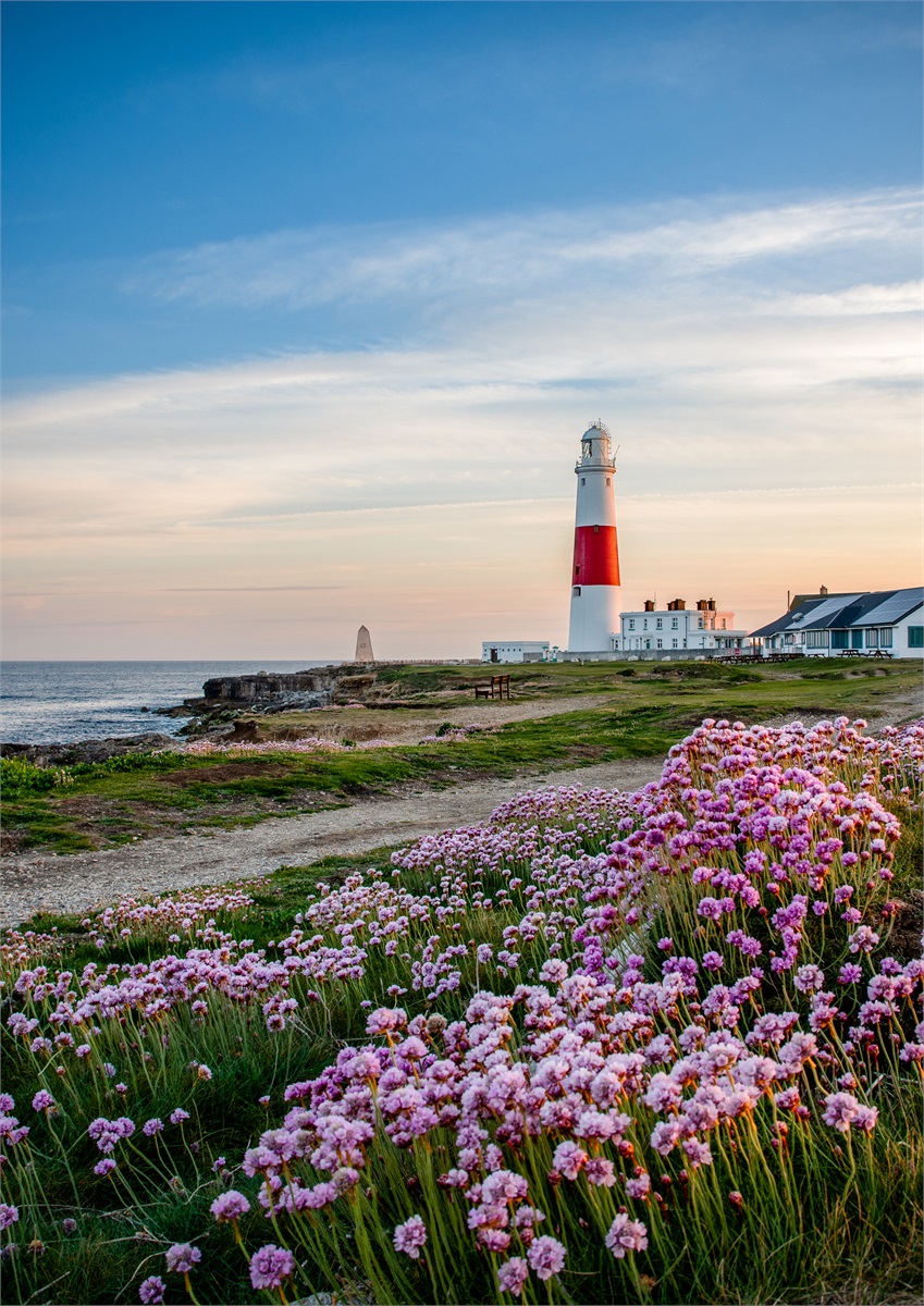 Portland Pinks photographic print