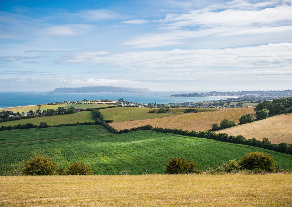 Weymouth Patchwork photographic print