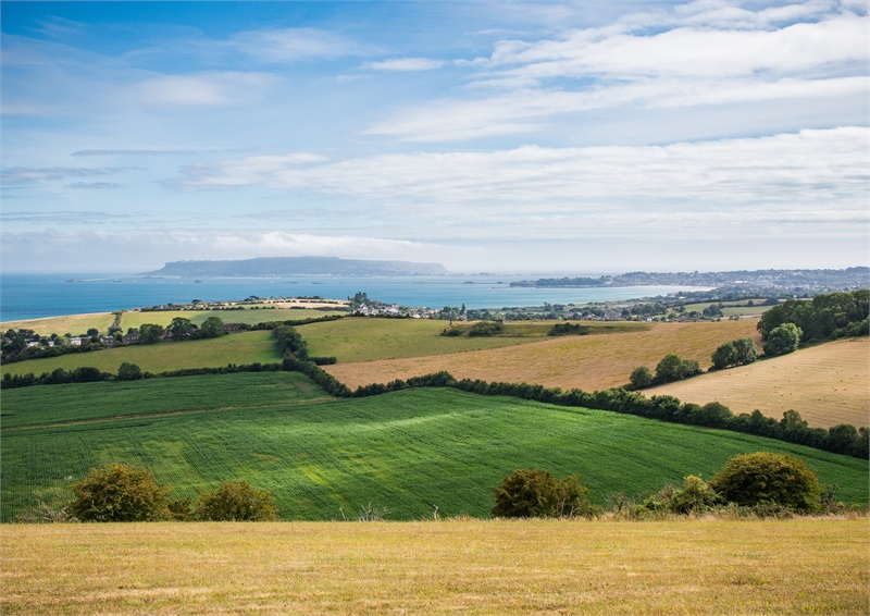 Weymouth Patchwork